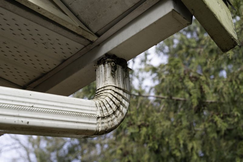 Downspout Cleaning detail